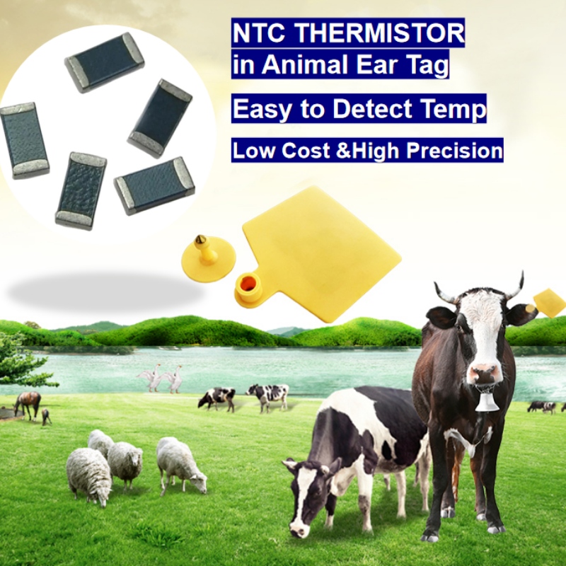 NTC -Thermistor -Temperatursensor in tierischer Ohr -Tag intelligenter Züchtung