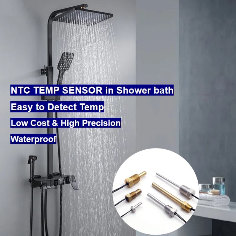 NTC -Thermistor -Temperatursensor in der digitalen Baddusche